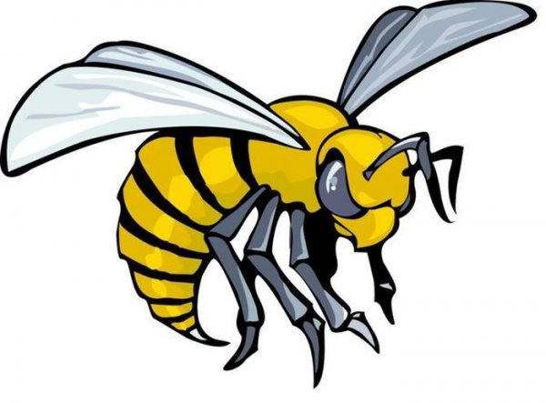 Злой Шершень