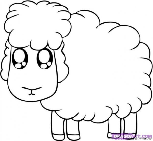 Овечка раскраска для детей