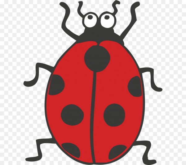 Жучки для детей