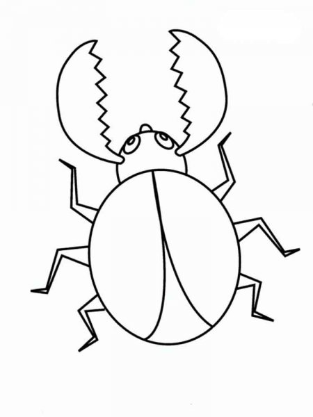 Жук раскраска для детей