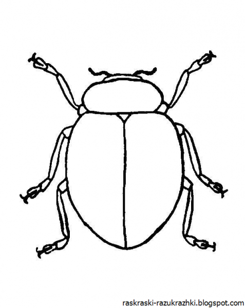 Майский Жук раскраска для детей