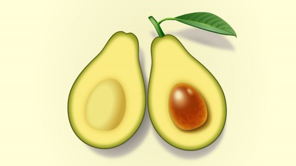 Авокадо рисунок для детей