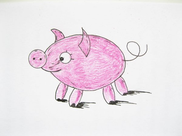 Поросенок рисунок карандашом