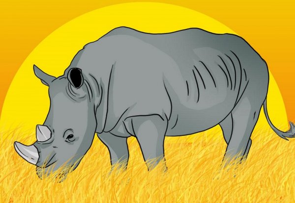 Носорог для детей
