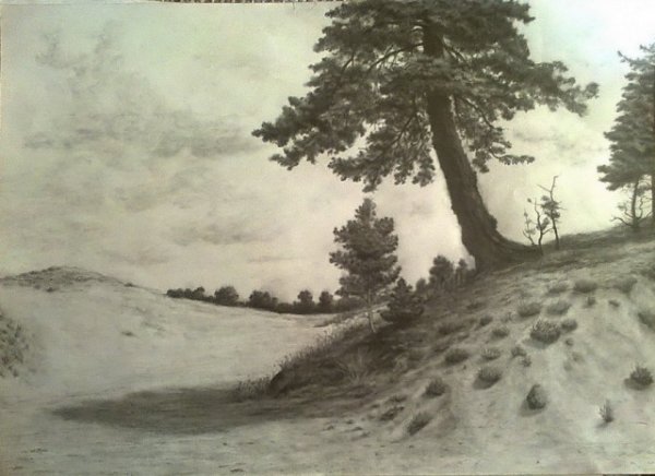 Шишкин картины Ширяево