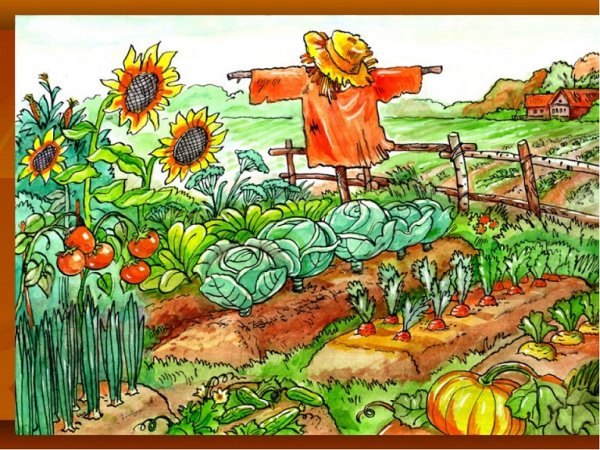Рисование огород