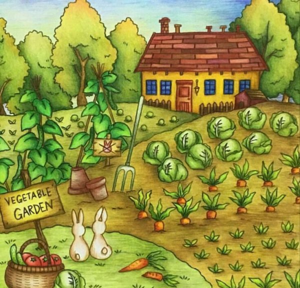 Огород для детей