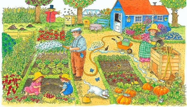 Огород для детей