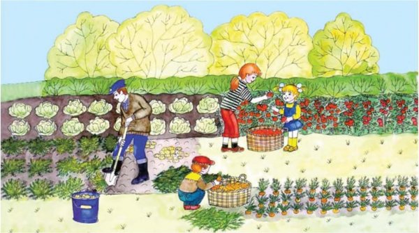 Огород для детей