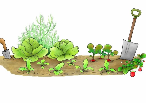 Нарисовать огород