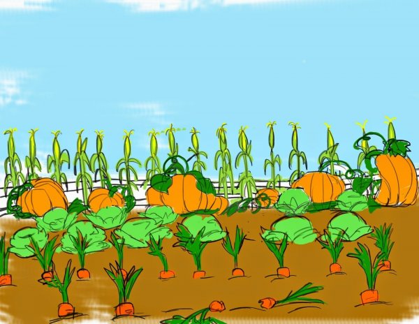Рисование овощи на грядке
