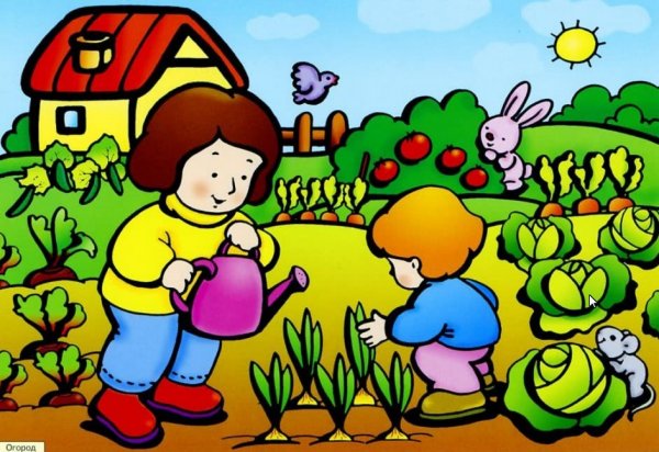 Нарисовать огород