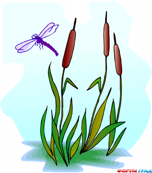 Камыши мультяшные