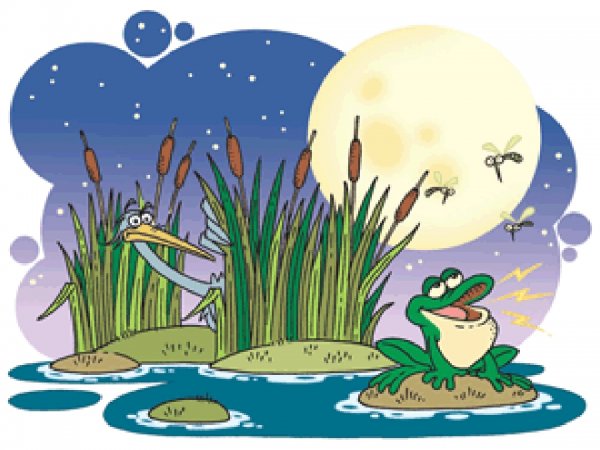 Болото с лягушкой и камышами