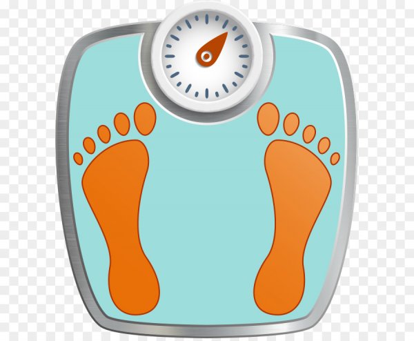 Весы напольные на прозрачном фоне