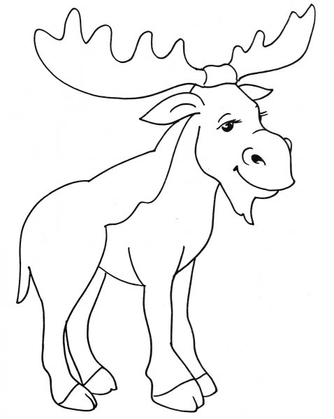 Лосиха раскраска