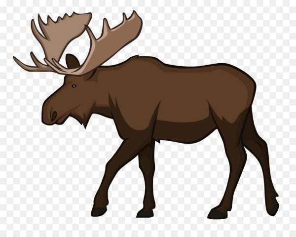 Лось картинка