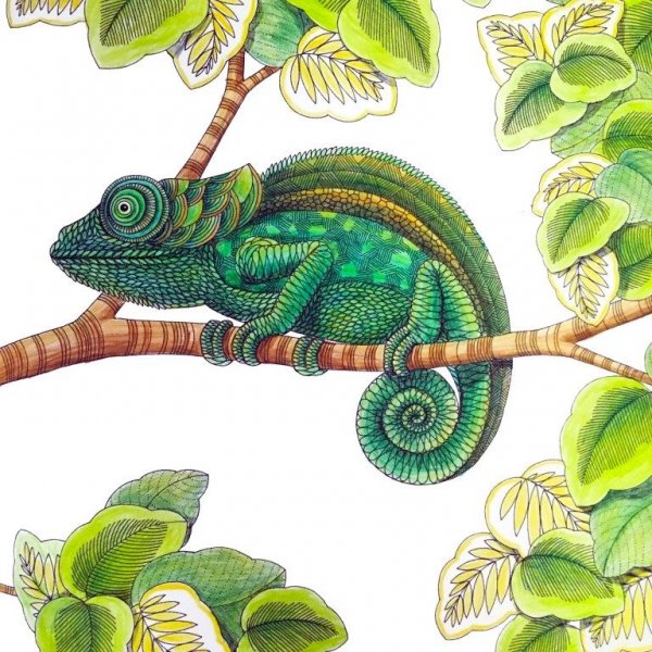 Хамелеон узор