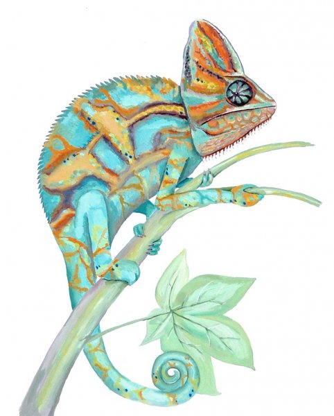 «Хамелеон на озере» квисо.