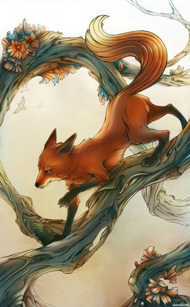 Лисы кульпео Фокс