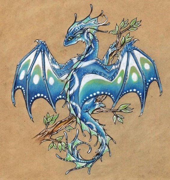 Кракен рисунок