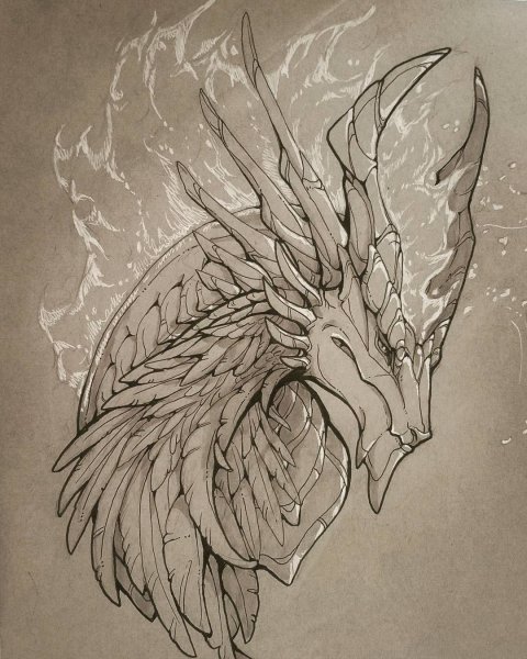 Дракон набросок