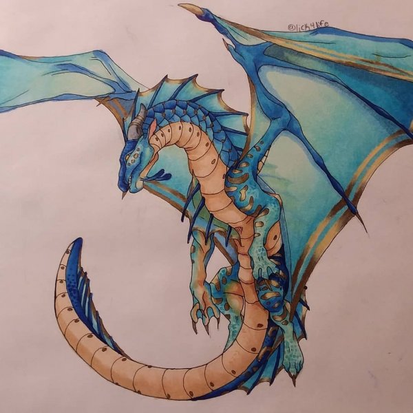 Драконья сага арт морского дракона