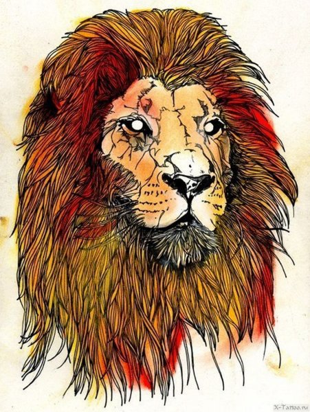 Лев арт акварель