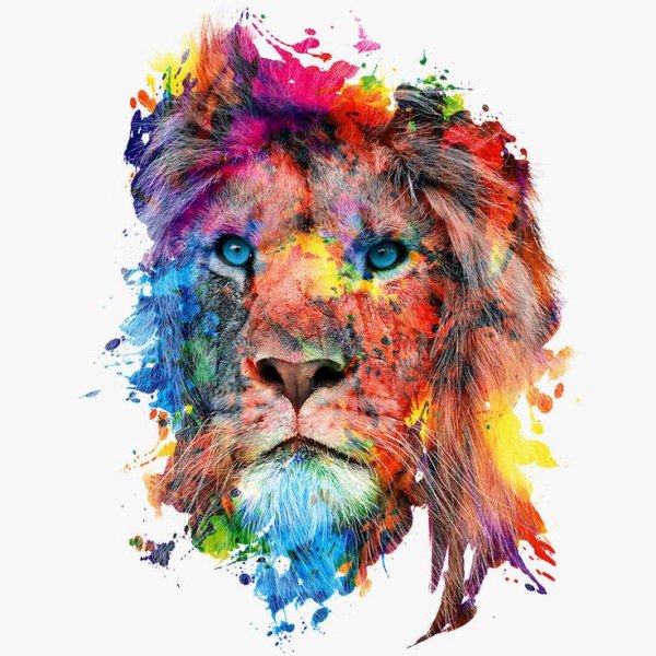 Красивый Огненный Лев