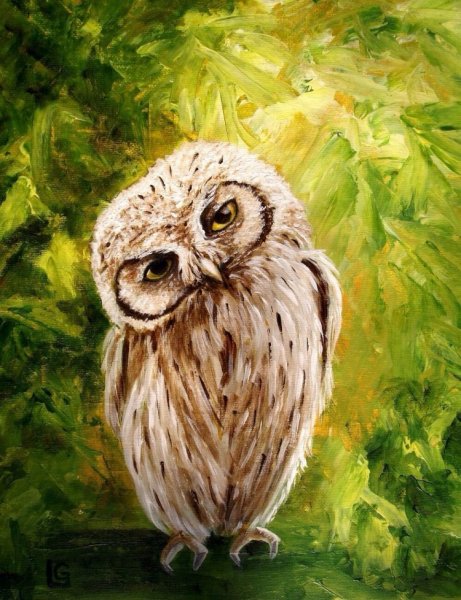 Сова живопись акрил