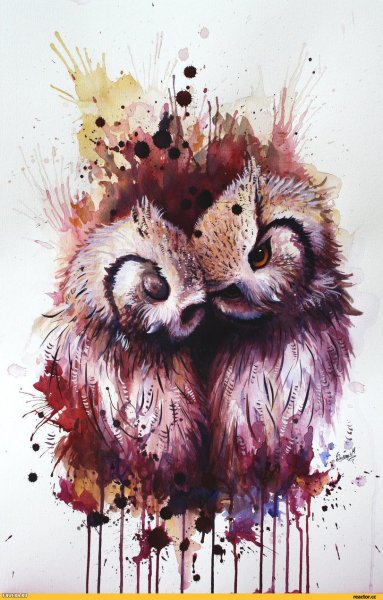 Сова акварелью