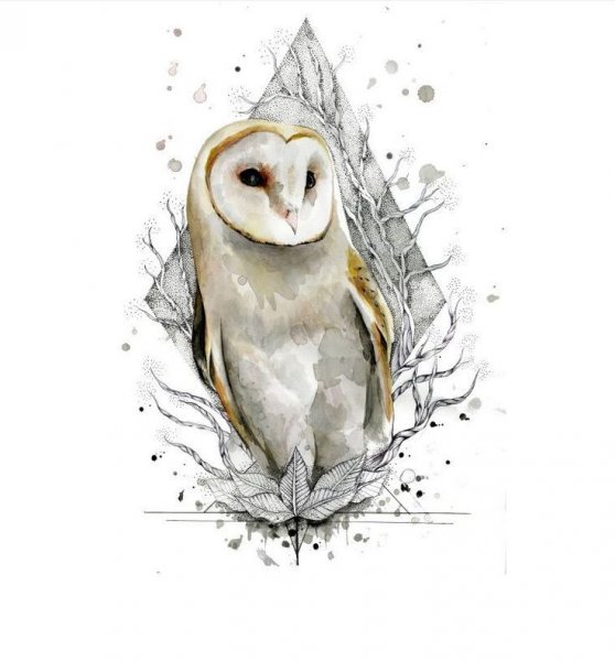 Сова сипуха акварель