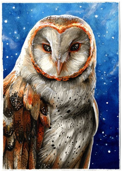 Сипухи Уэсли