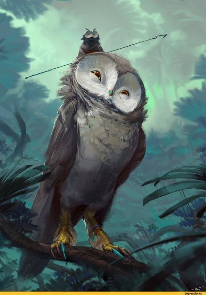 Сова фэнтези