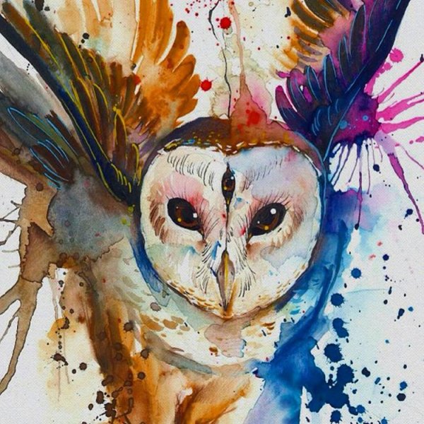 Сова сипуха стилизация