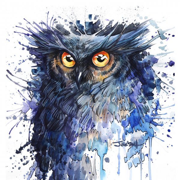 Сова арты