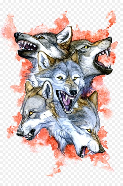 Морда волка арт