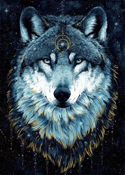 Волк рисунок