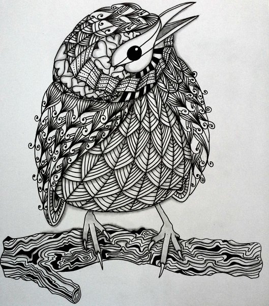 Зентангл птицы