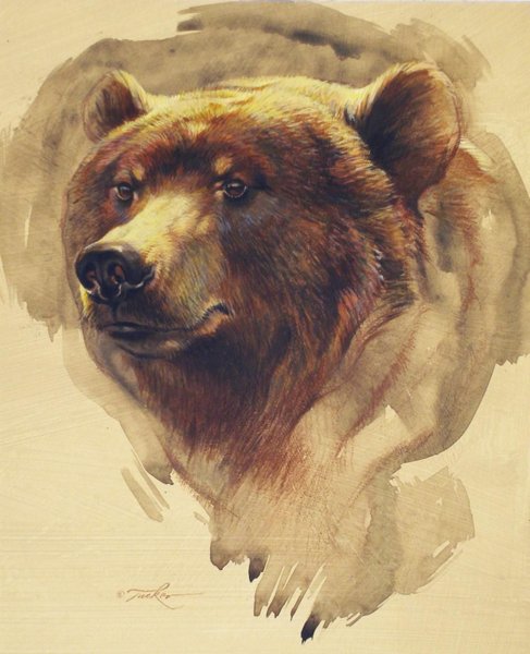 Медведь морда живопись