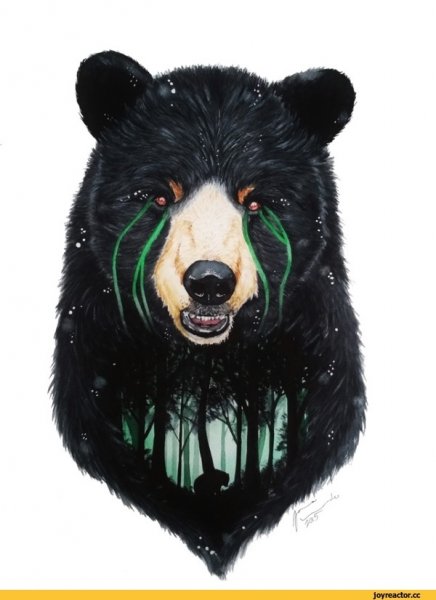 Морда медведя арт