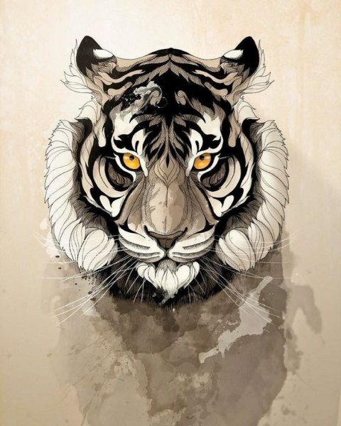 Тигр эскиз