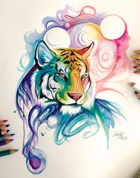 Рисунки цветные