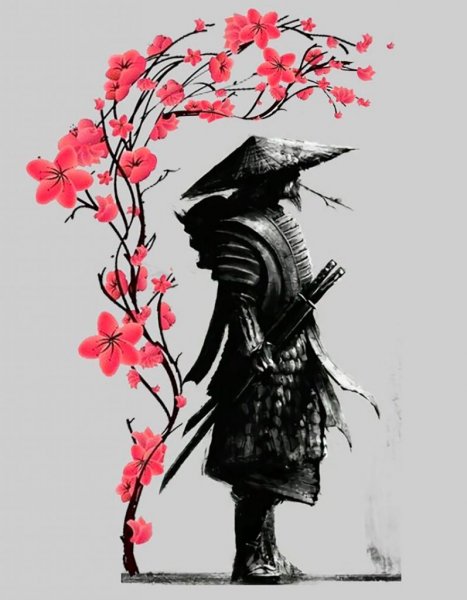 Воин Ронин Самурай