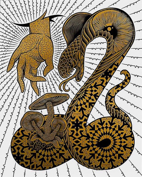 Змей гравюра