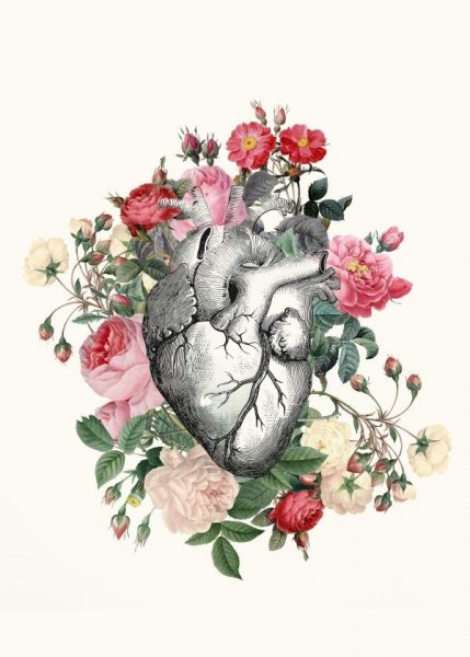 Человеческое сердце с цветами