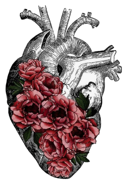 Человеческое сердце на ладони