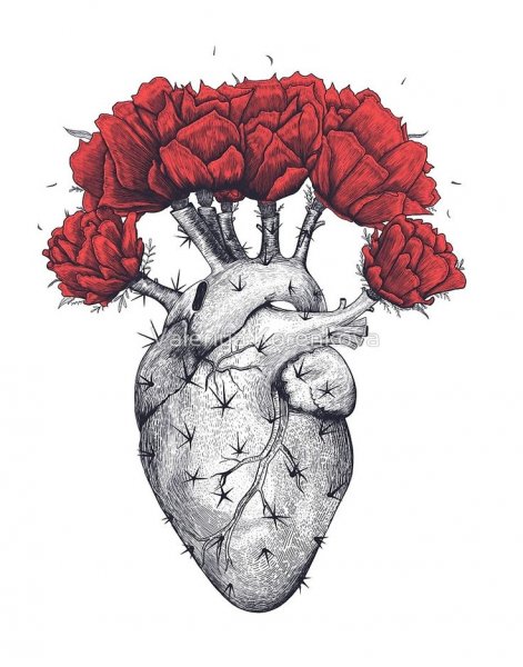 Человеческое сердце арты