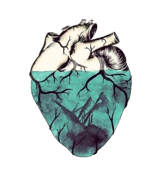 Анатомическое сердце арт