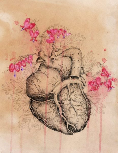 Мозг в цветах